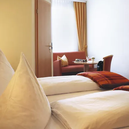 Rose Inklusive Fruehstueck, Saunanutzung Und Parkplaetze Nach Verfuegbarkeit 하이델베르크