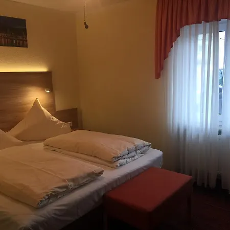 Hotel Rose Inklusive Fruehstueck, Saunanutzung Und Parkplaetze Nach Verfuegbarkeit Heidelberg