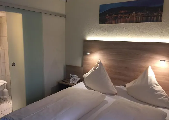 Rose Inklusive Fruehstueck, Saunanutzung Und Parkplaetze Nach Verfuegbarkeit 3* Хайдельберг